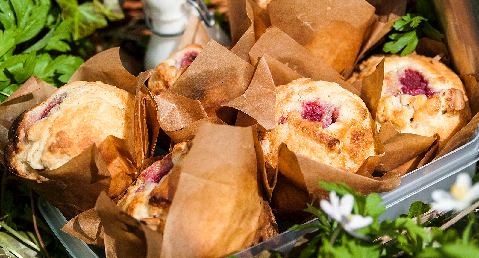 Muffins med vit choklad och hallon