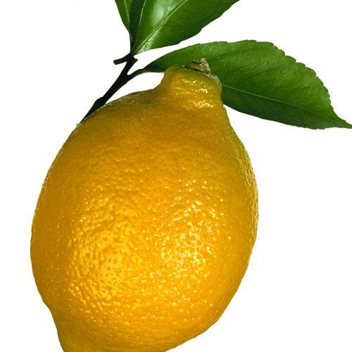 Glömd maräng med citronglass