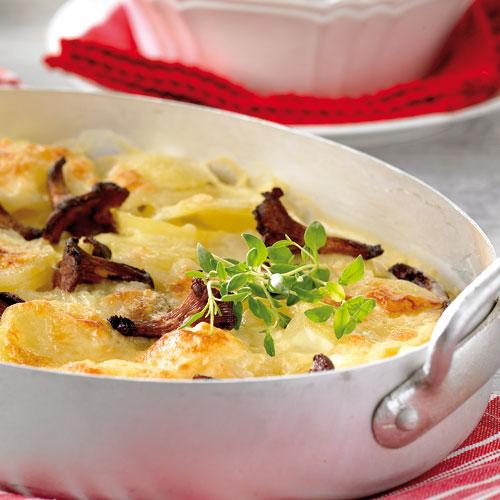 Potatisgratäng med kantareller
