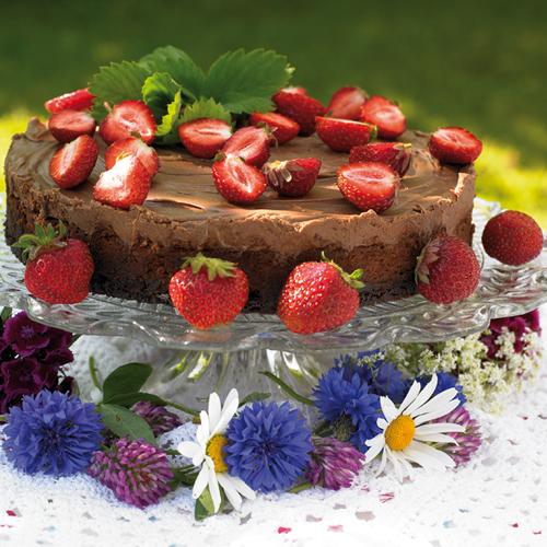 Chokladcheesecake