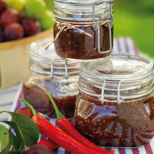 Plomonchutney med chili