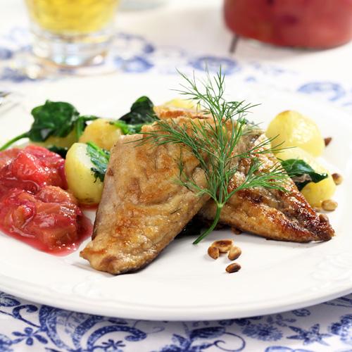Makrill med rödlöks- och rabarbersalsa