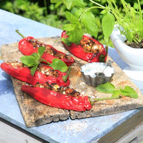 Lammfärsfylld spetspaprika med tzatziki