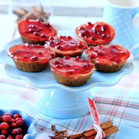Lingoncheesecake