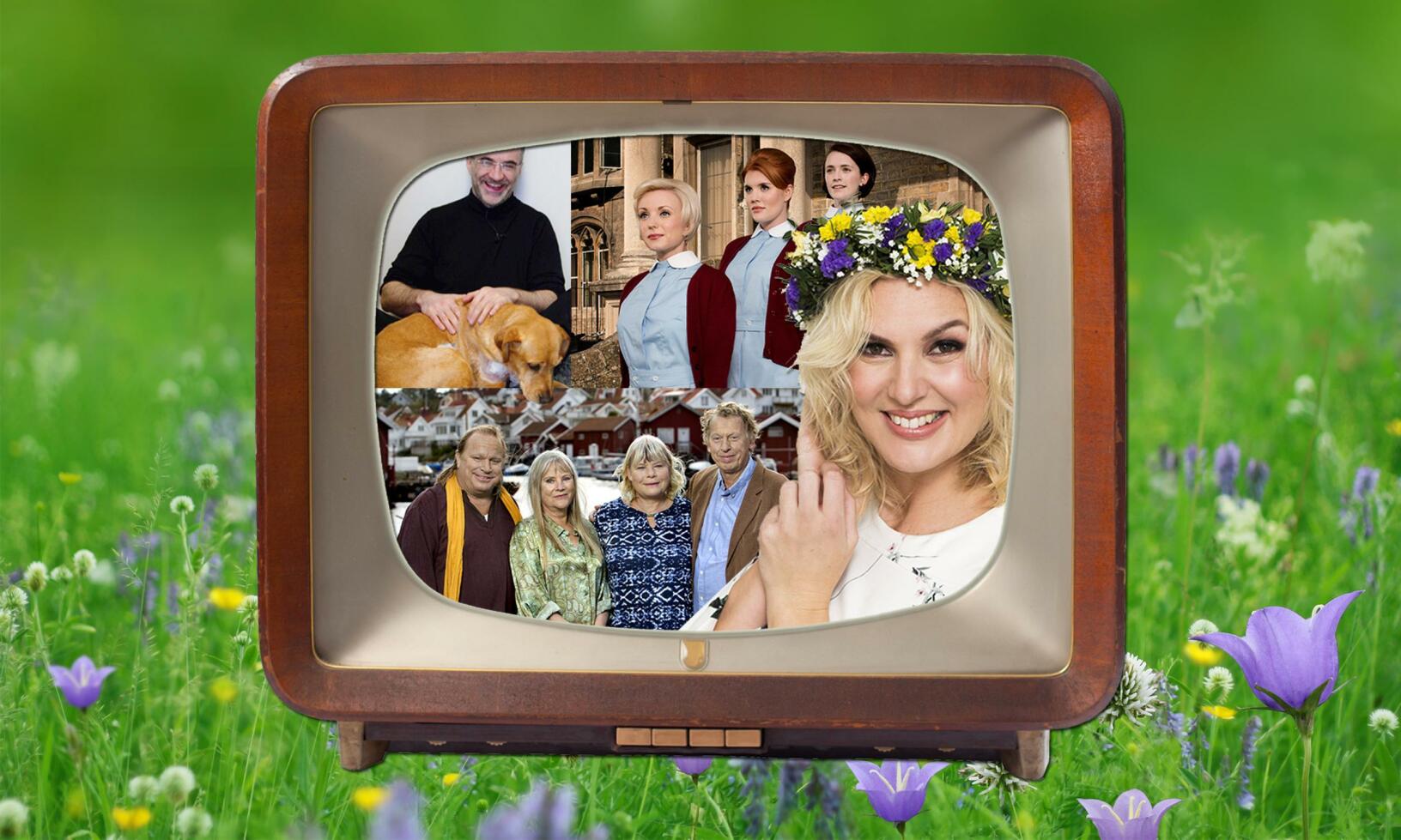 Stor guide till sommarens tv-favoriter
