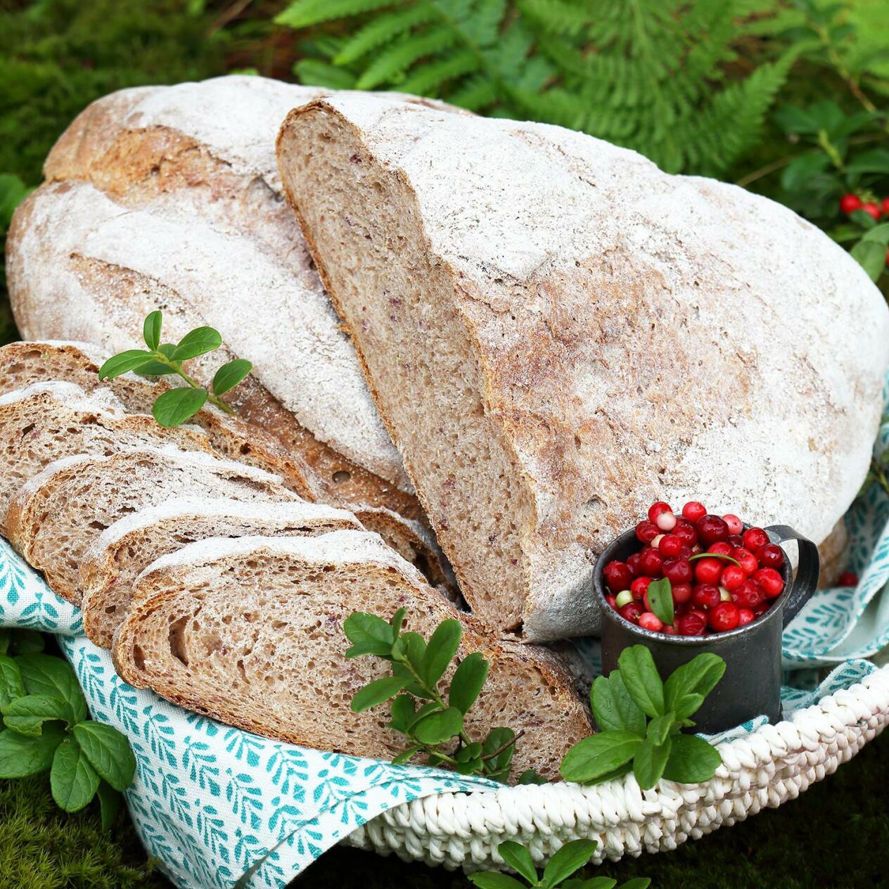Lingonbröd med rågmjöl