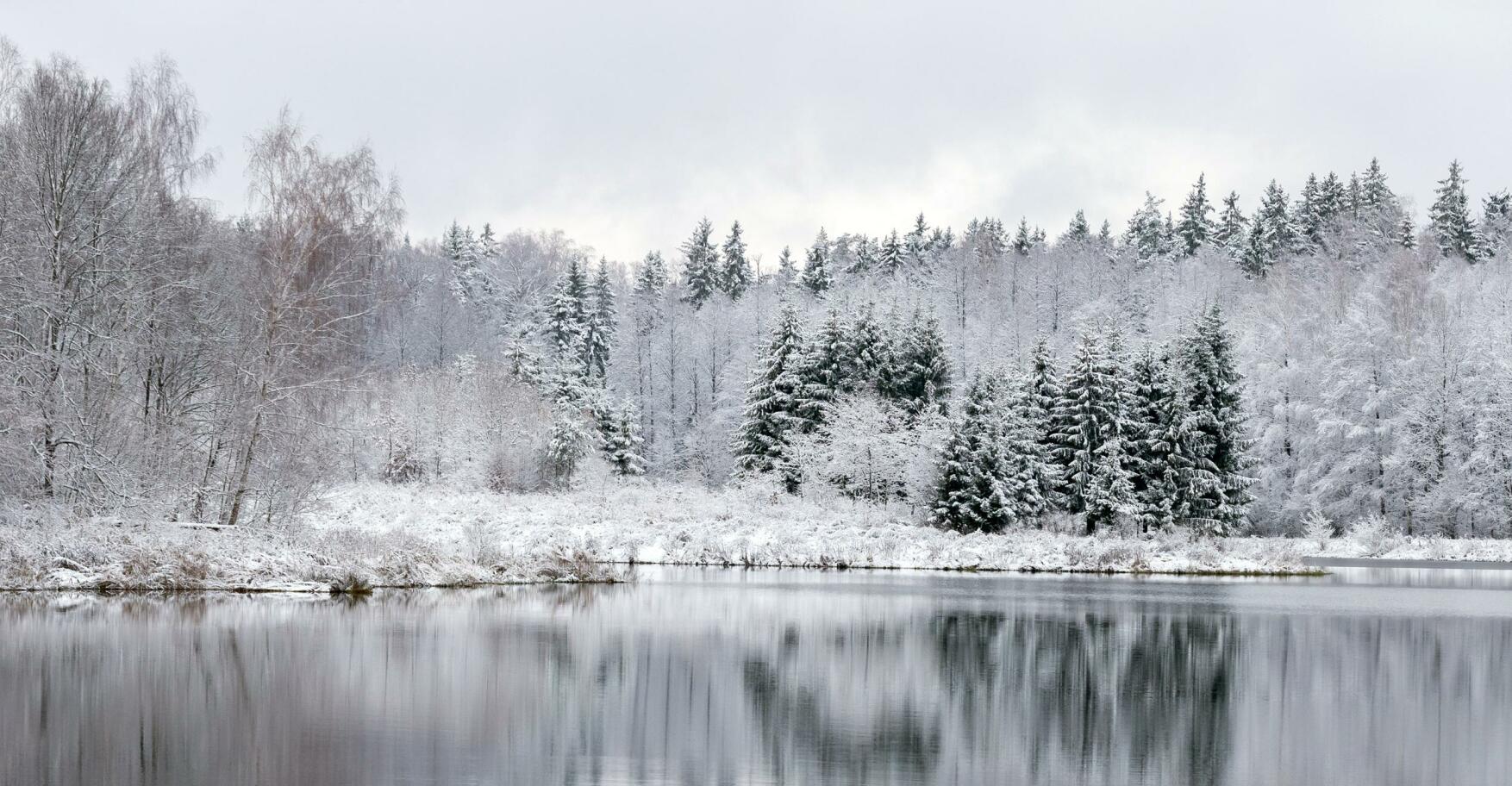 Så spår du vädret i vinter – bonden Cillas fem bästa tips!