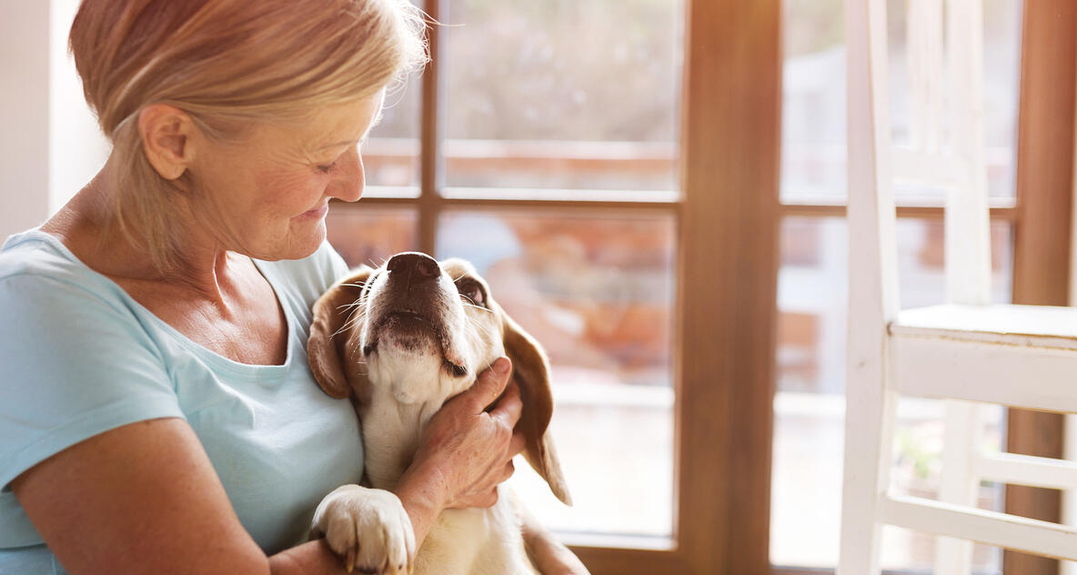 Forskare: Därför ska du inte prata bebisspråk med din vuxna hund