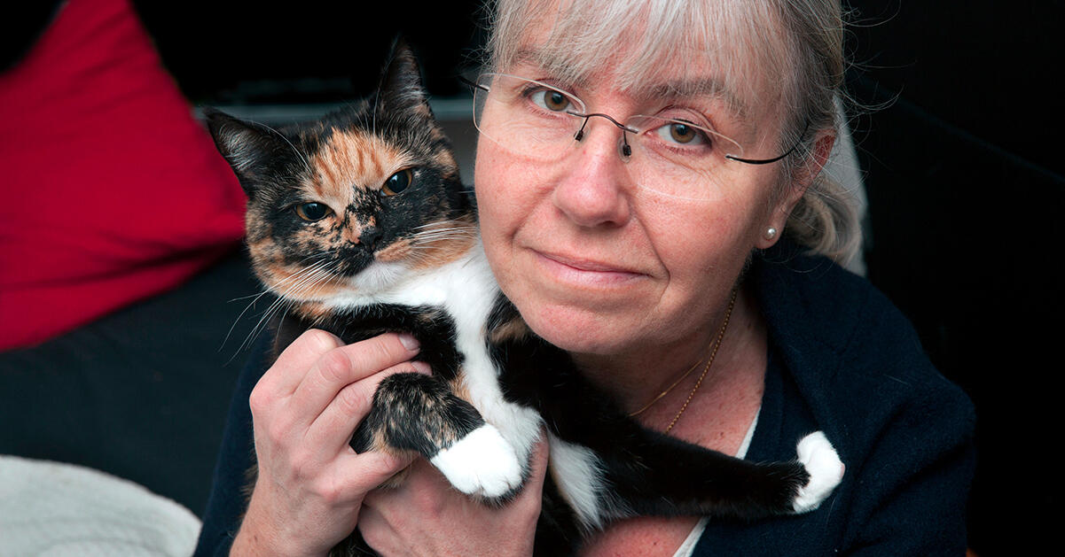 Adoptera en katt och få en vän för livet – så här gör du