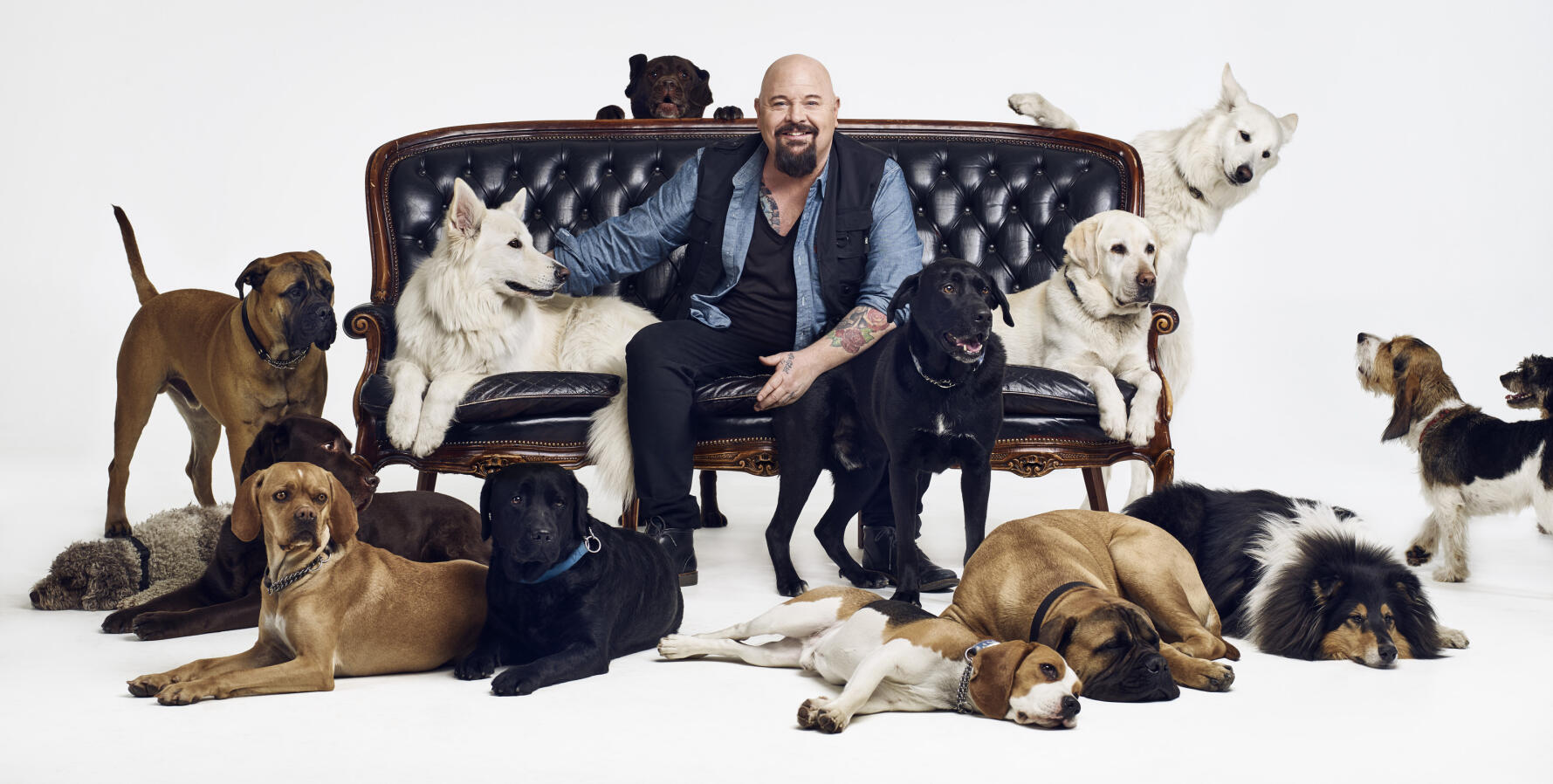 Anders Bagge: “Jag kan inte tänka mig ett liv utan hund!”