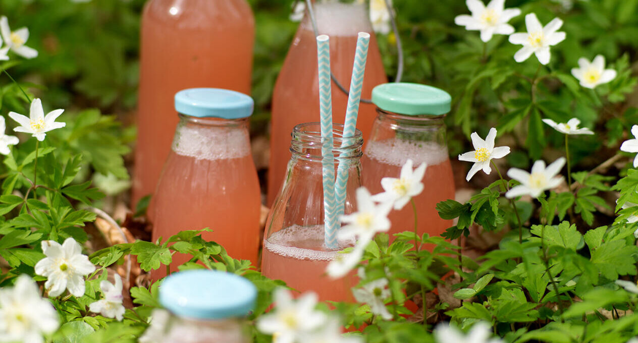 Rabarbersaft med vanilj