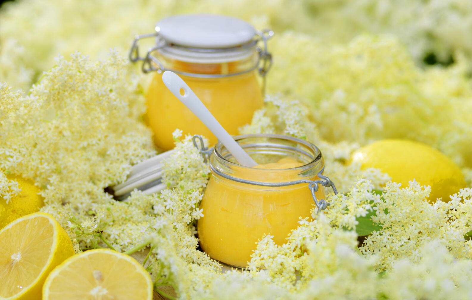 Flädercurd