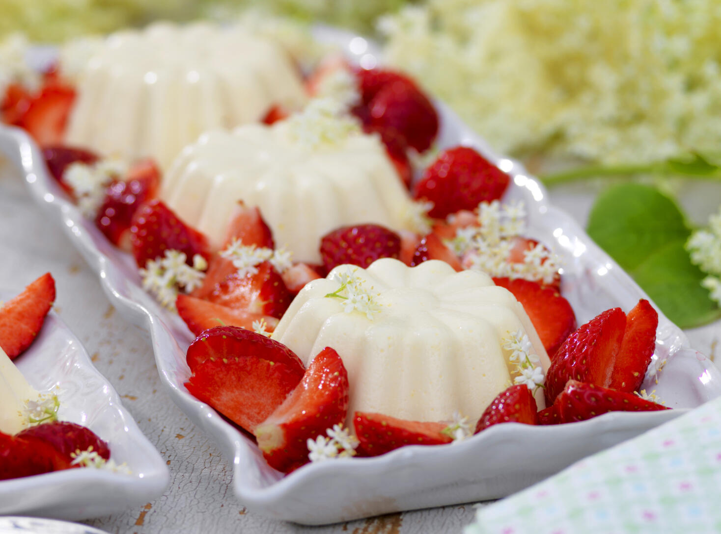 Flädermousse med jordgubbar