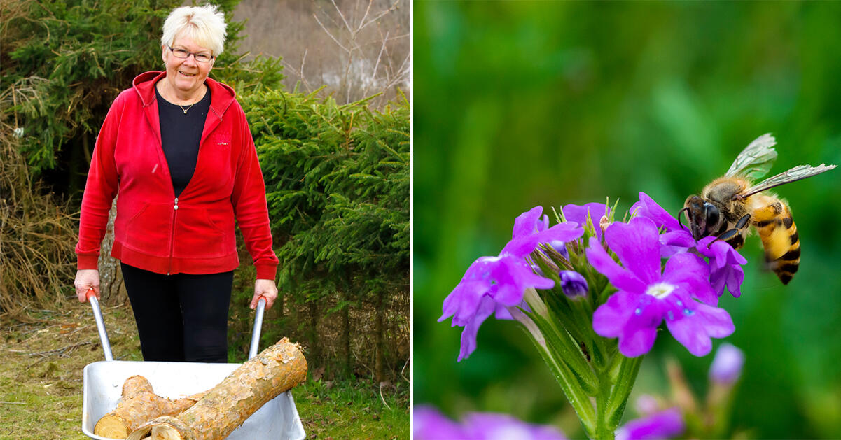 Birgitta behandlades för getingallergi: “Nu kan getingarna sticka mig bäst de vill …”