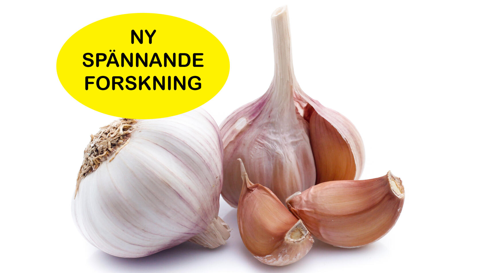 Vitlök kan bli framtidens blodtrycksmedicin!