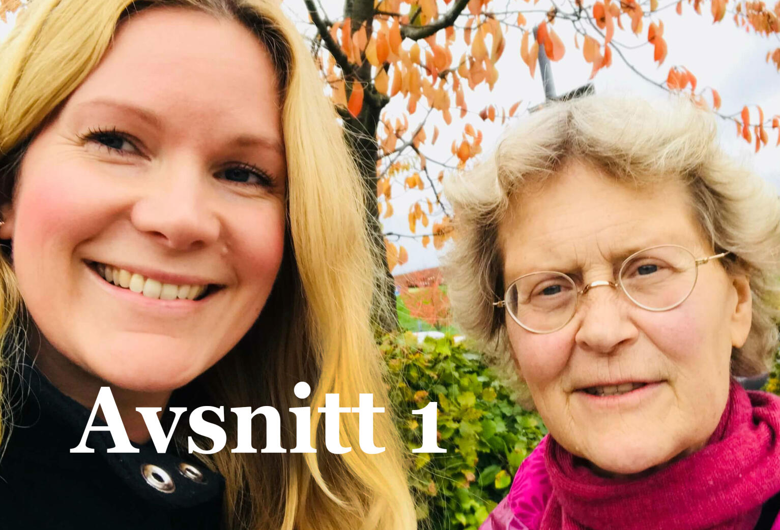 Hälsojournalen avsnitt 1: Övervikt