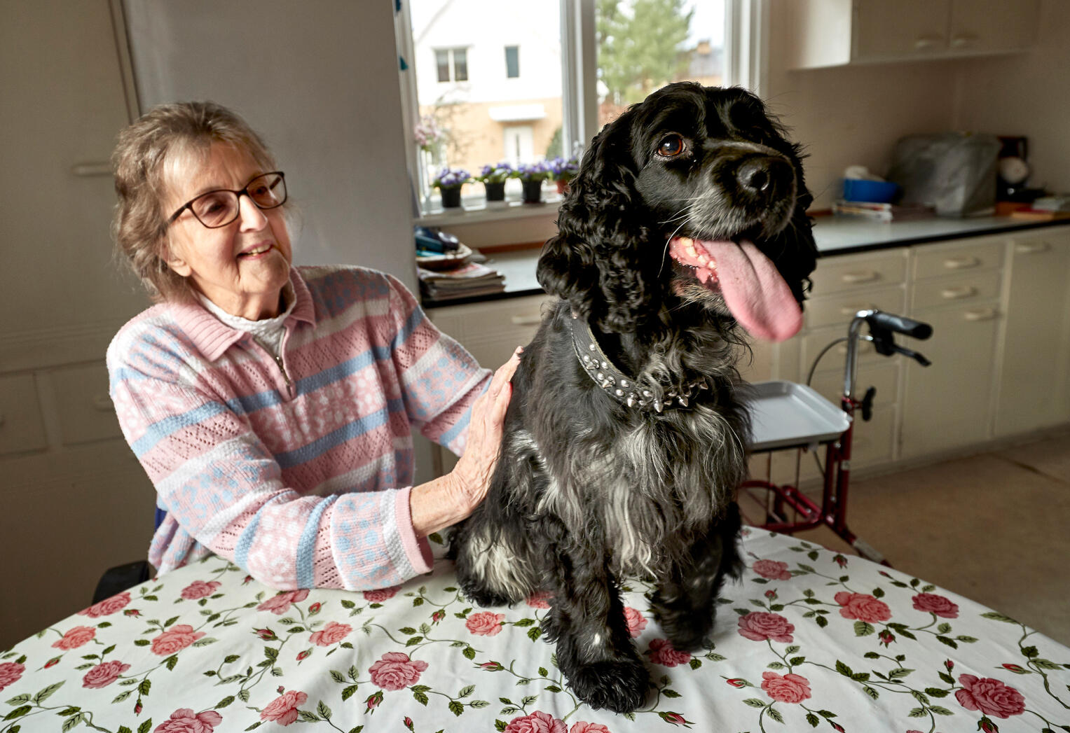 Hunden Salsa hörde Sigrids rop på hjälp