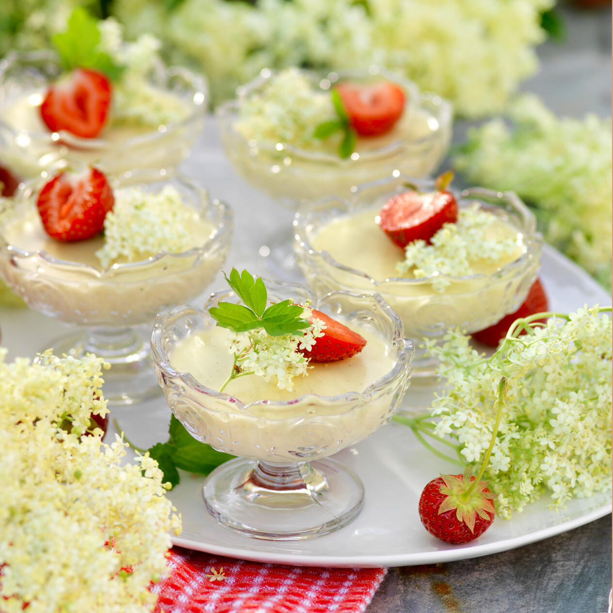 Fläderpannacotta