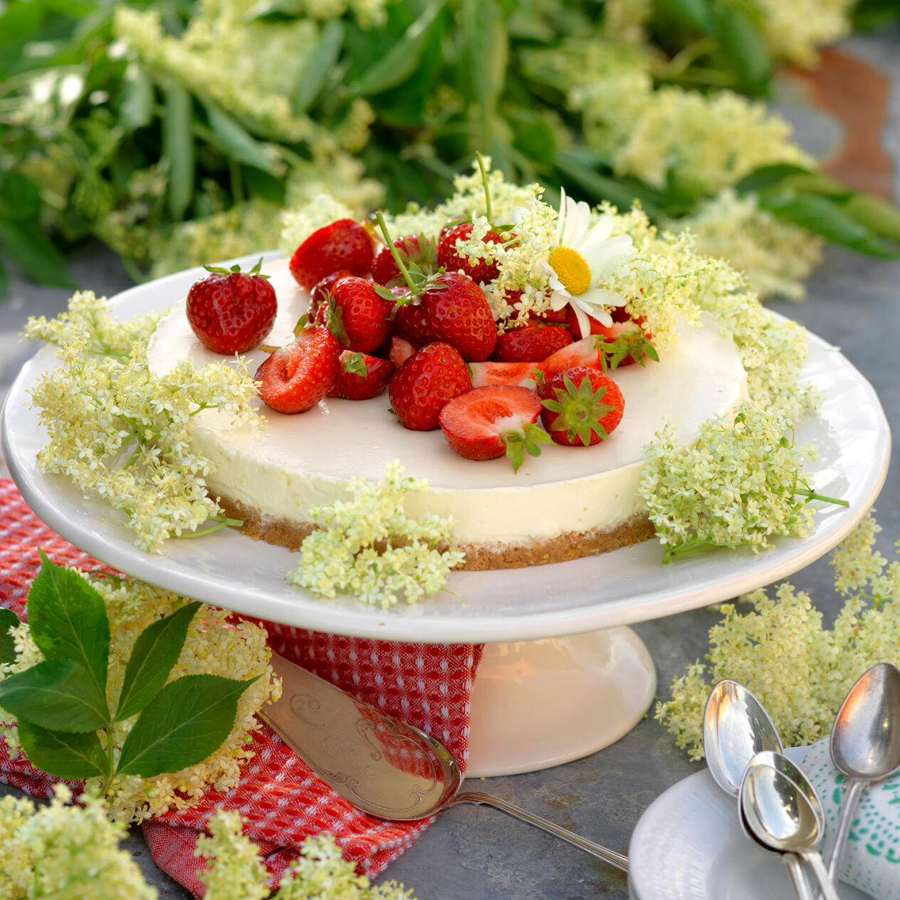 Flädercheesecake