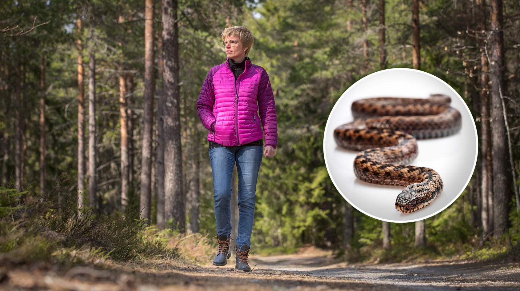 Så mår Catarina efter ormbetten!