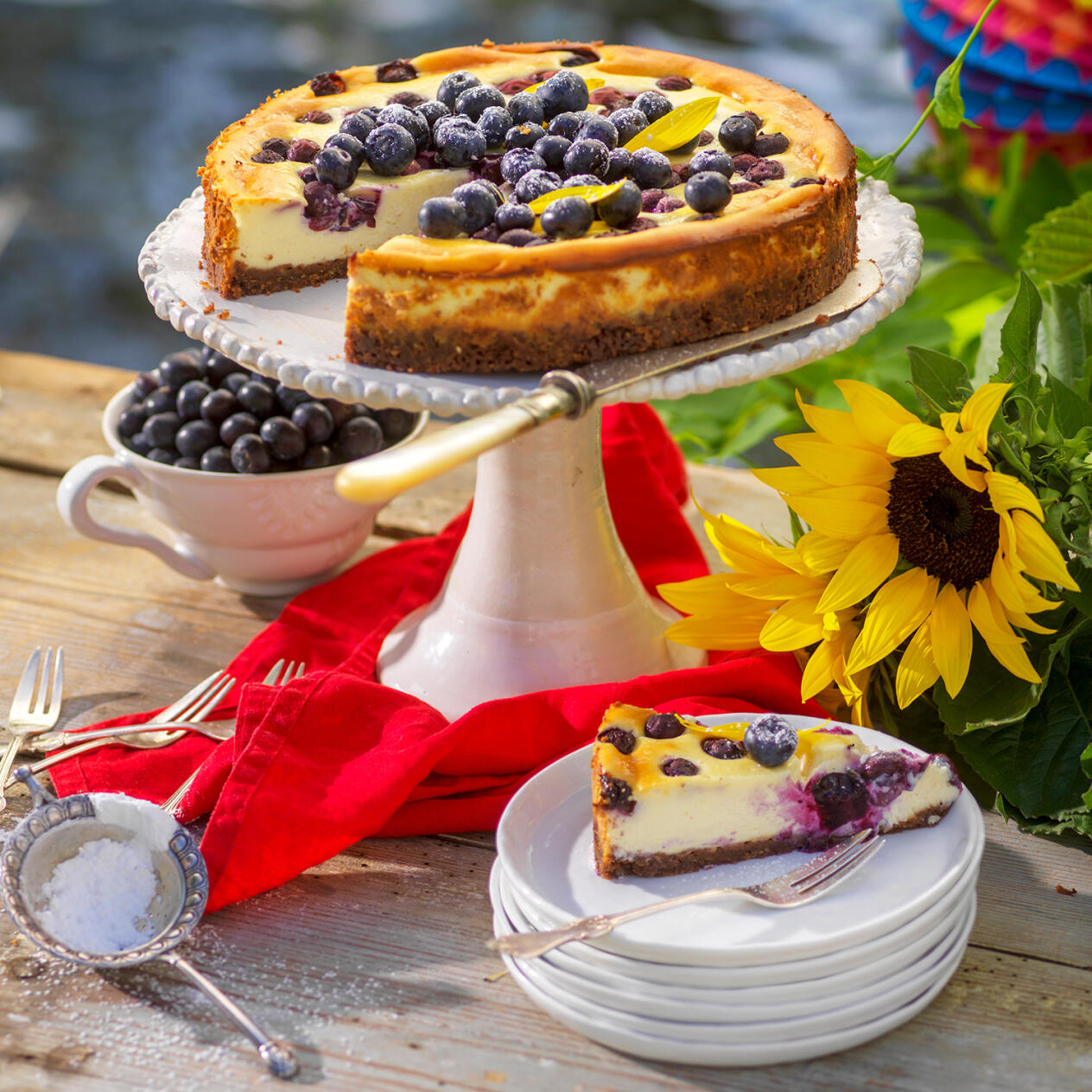 Blåbärscheesecake