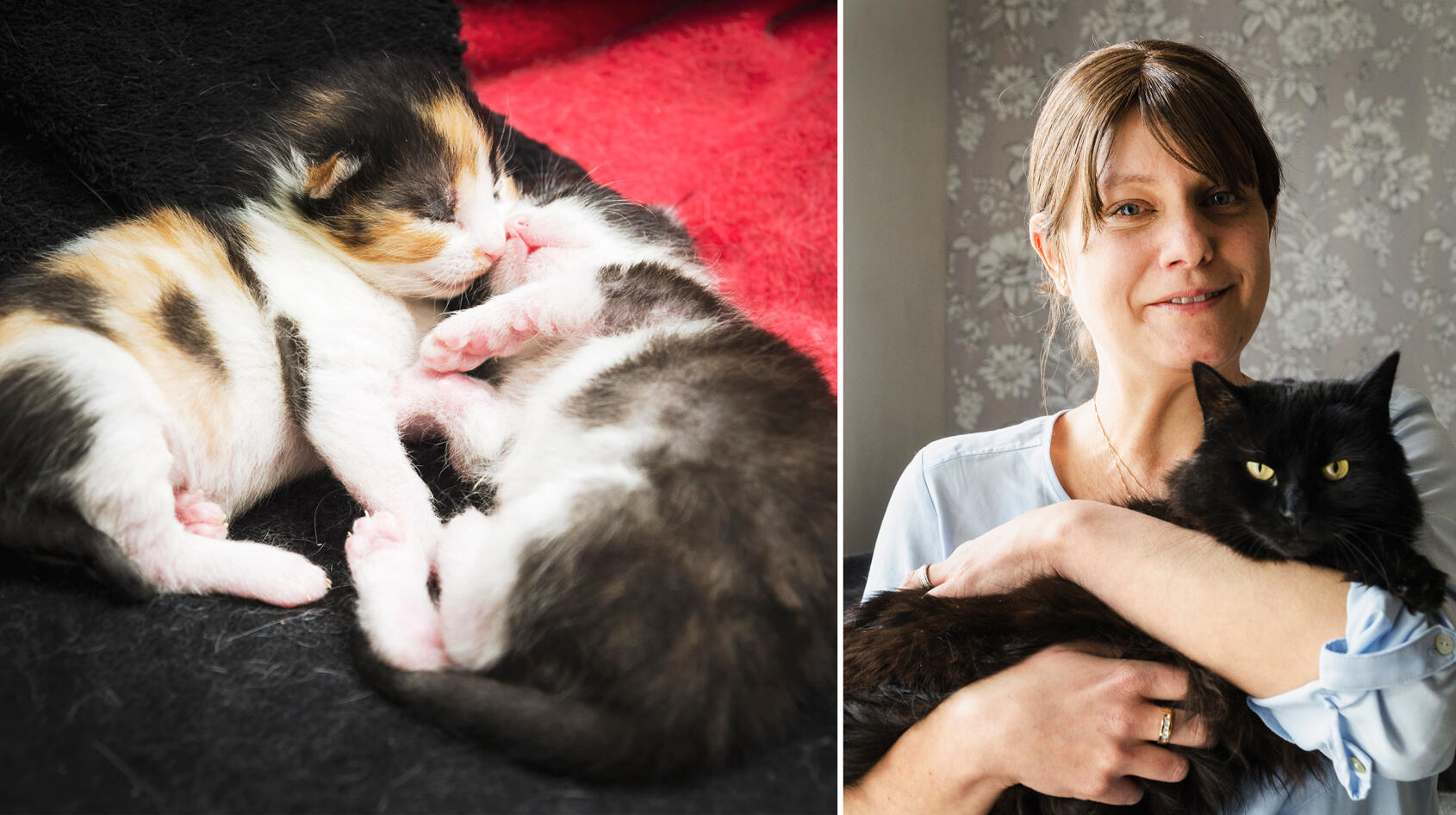 Jourhemmet Jeanette öppnar dörren för hemlösa katter