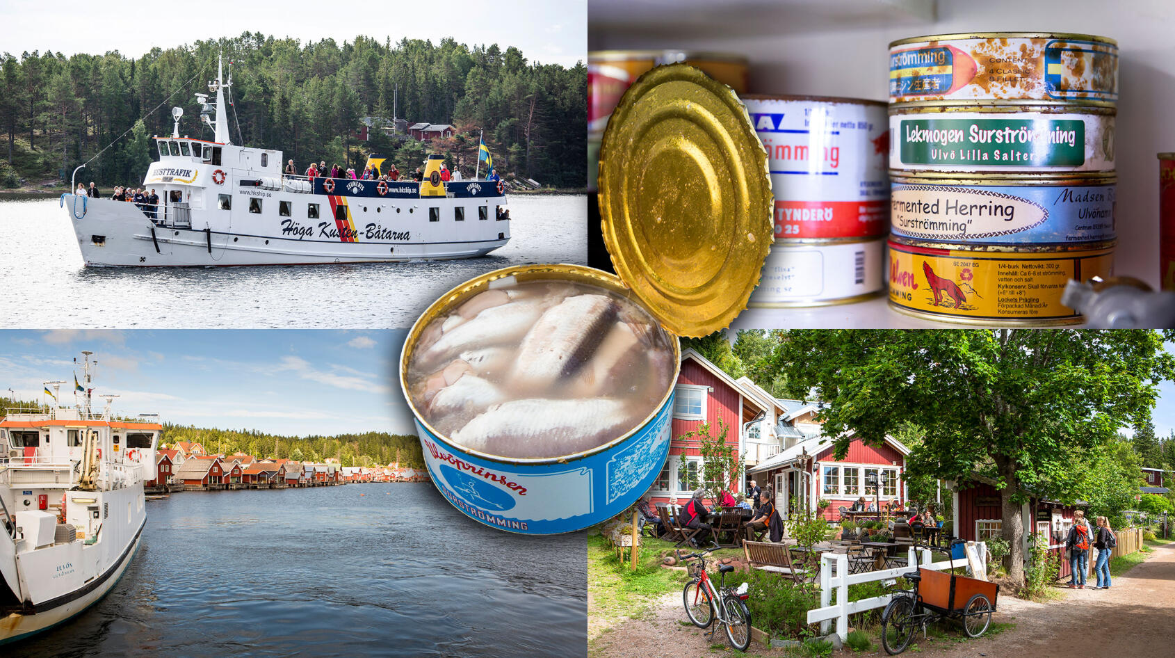 Ulvön bjuder på mer än surströmming!