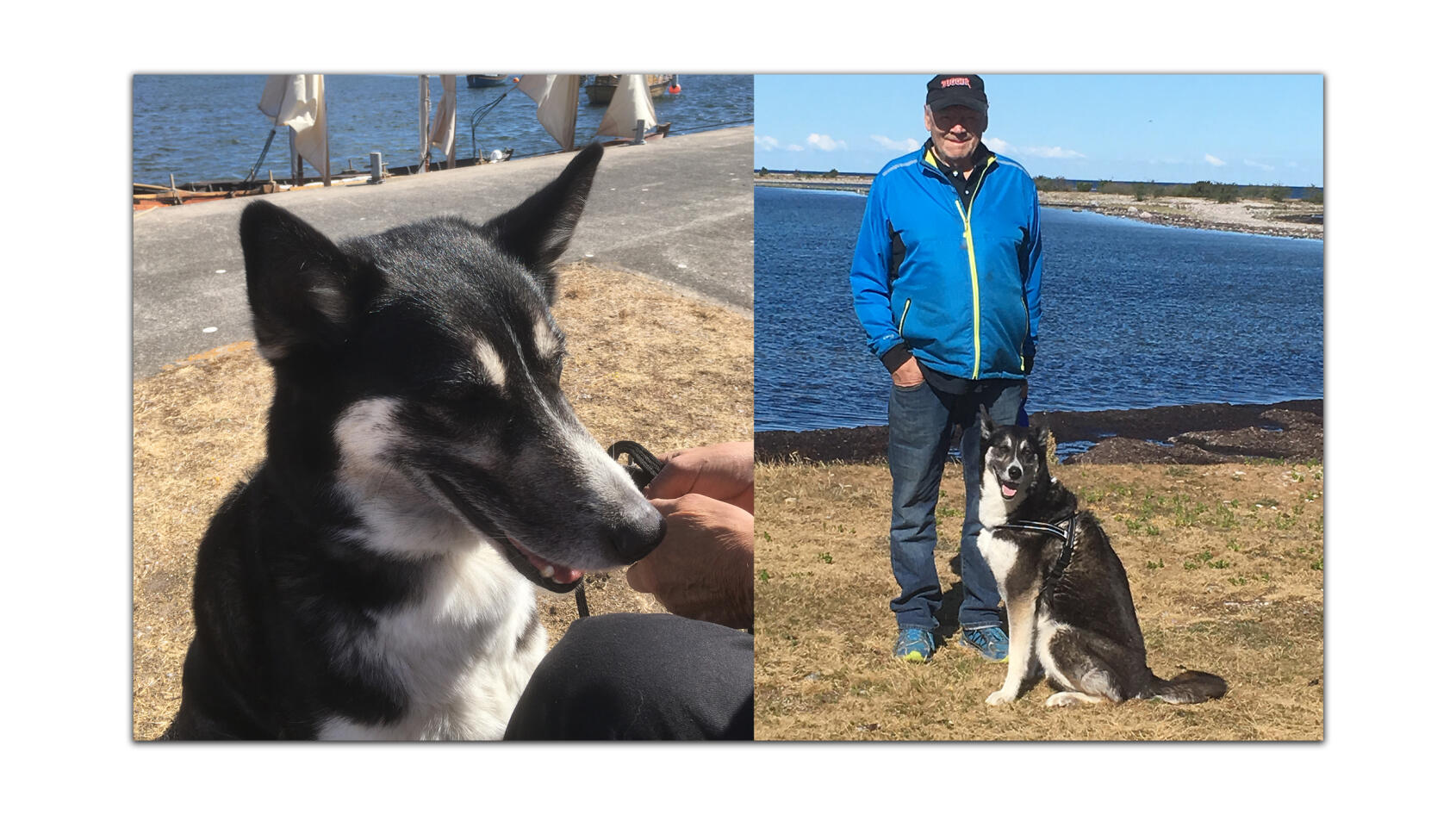 Enya fick ett nytt hem på Gotland!