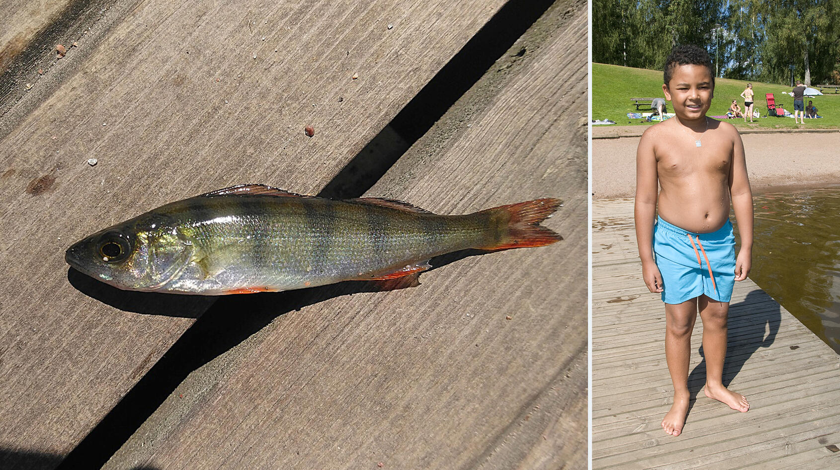 Ceasar fångade en abborre – i badbyxorna!