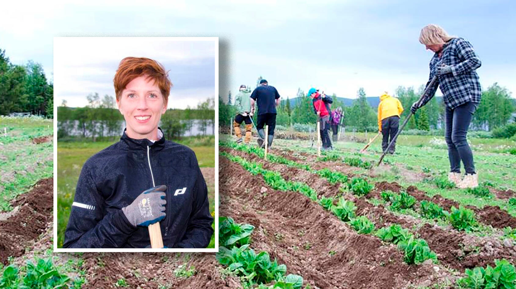 Cora odlar potatis för att förstå miljön!