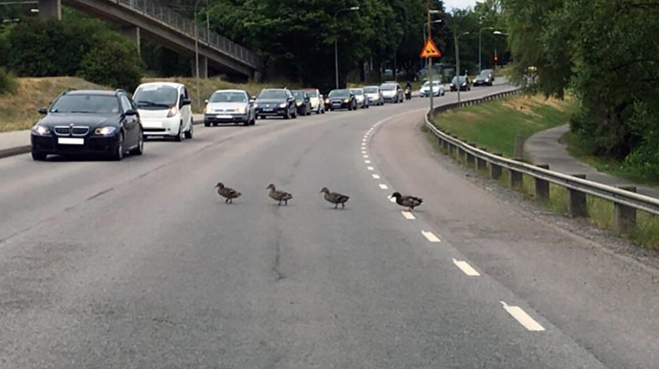 Andparad skapade trafikstockning