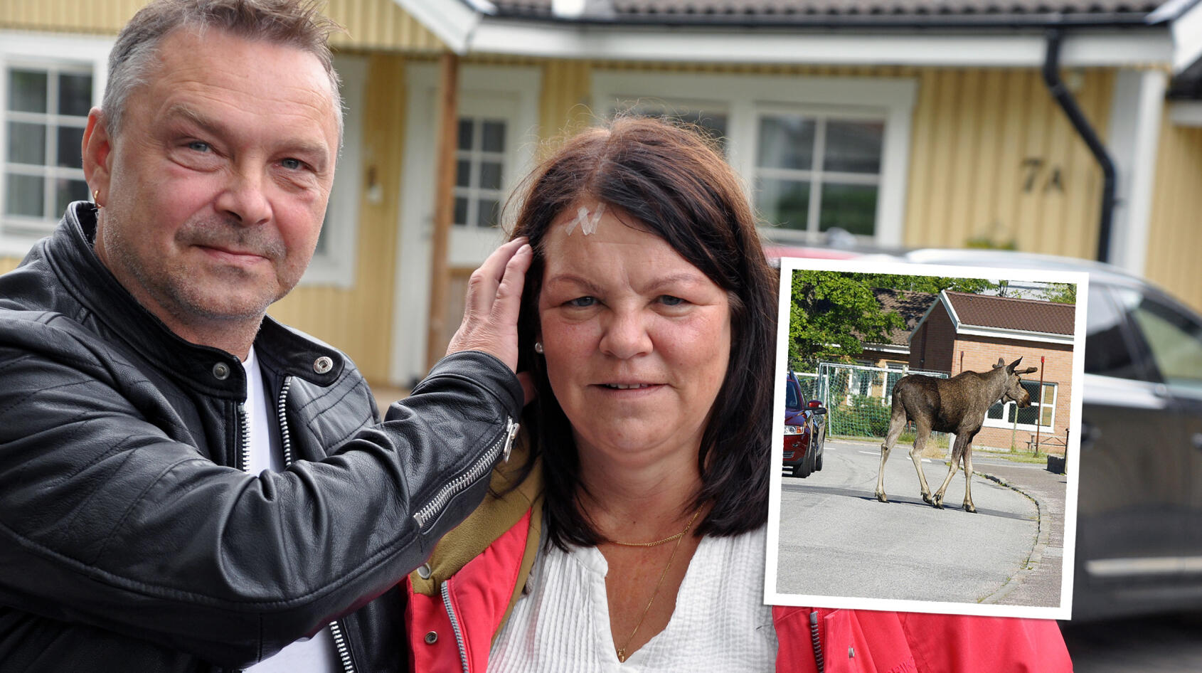 Annika fick fly för livet från älgen!