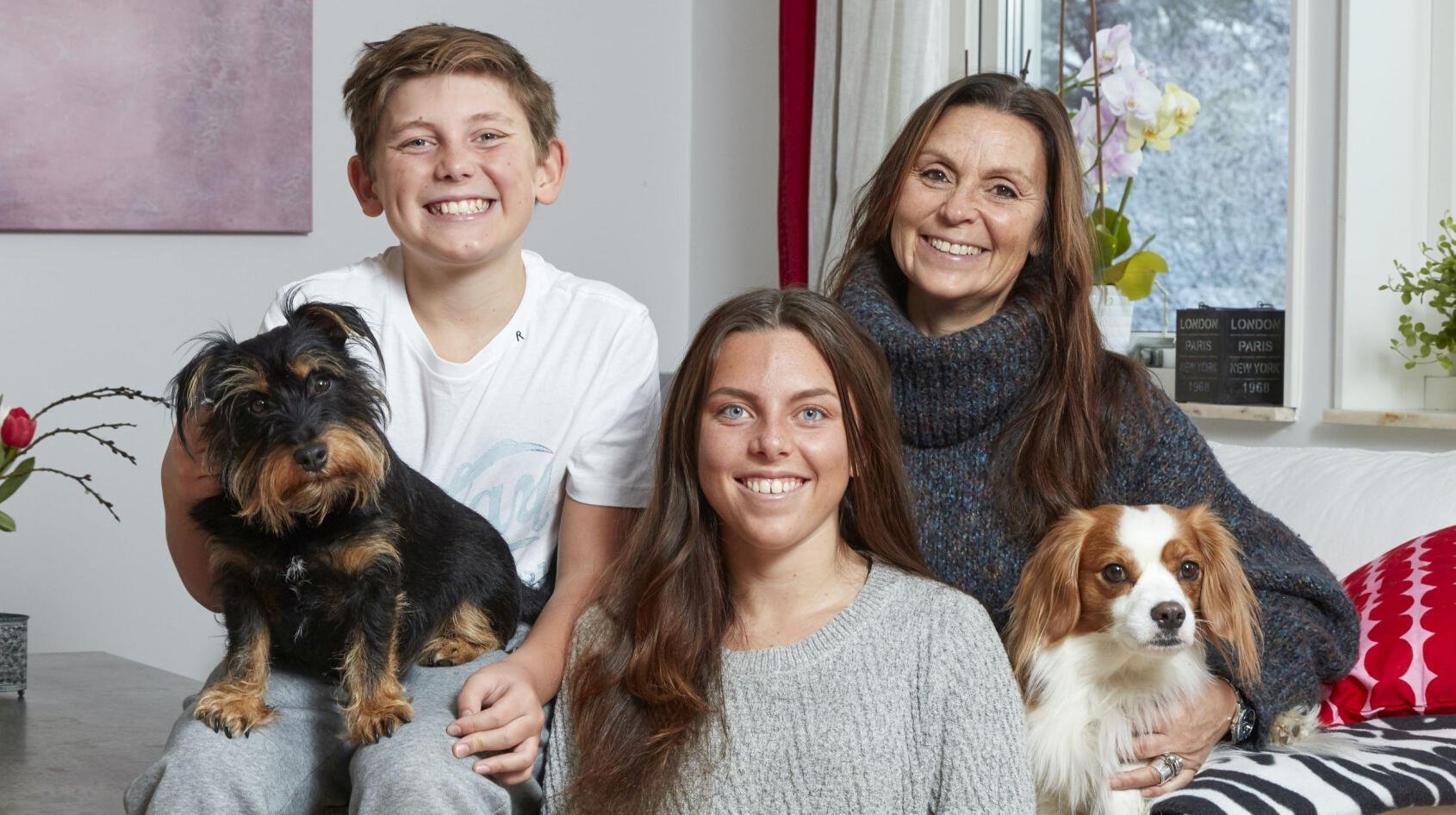 Hittehundarna fick ett nytt hem