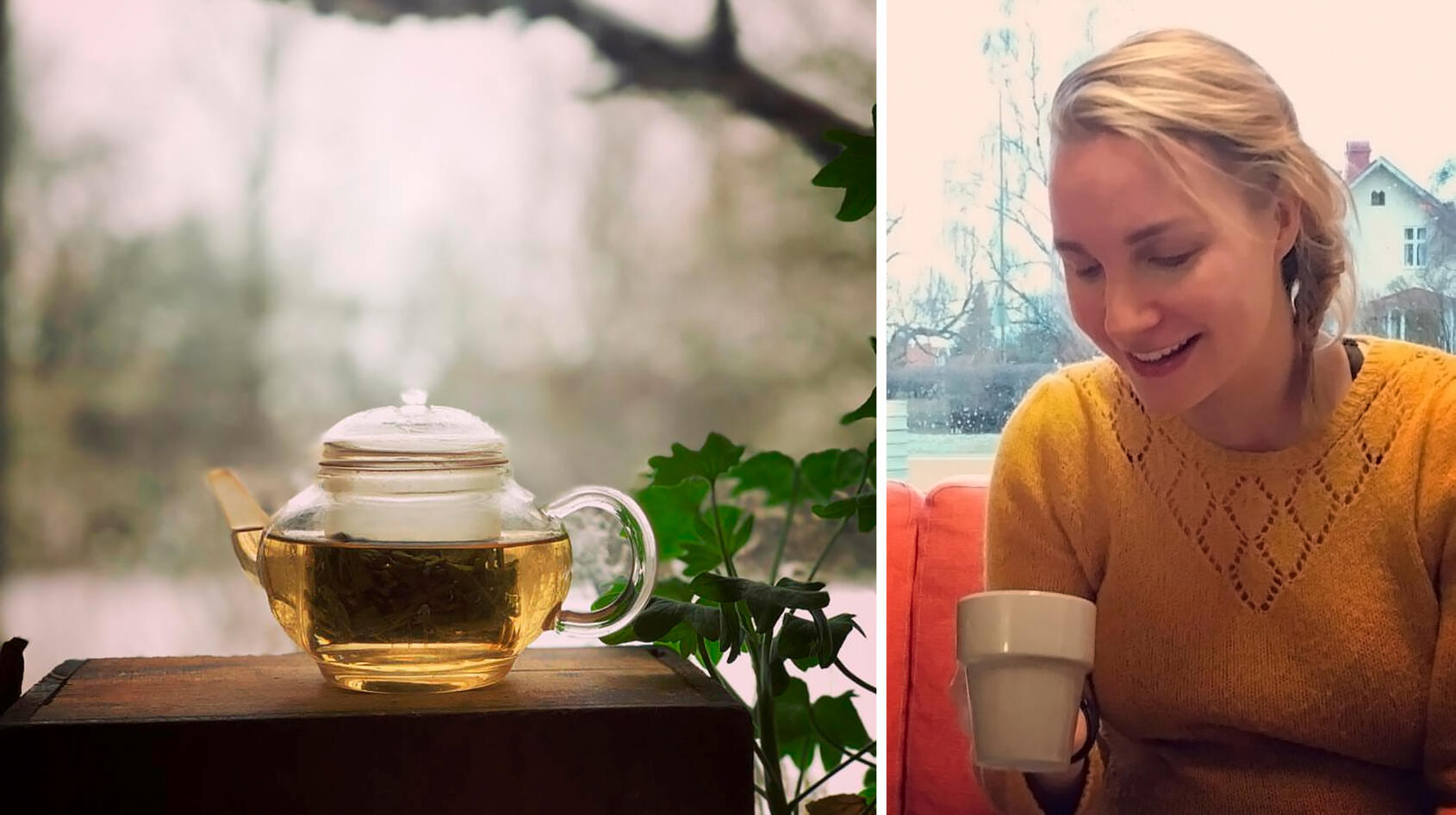 Petra är Gotlands första te-sommelier