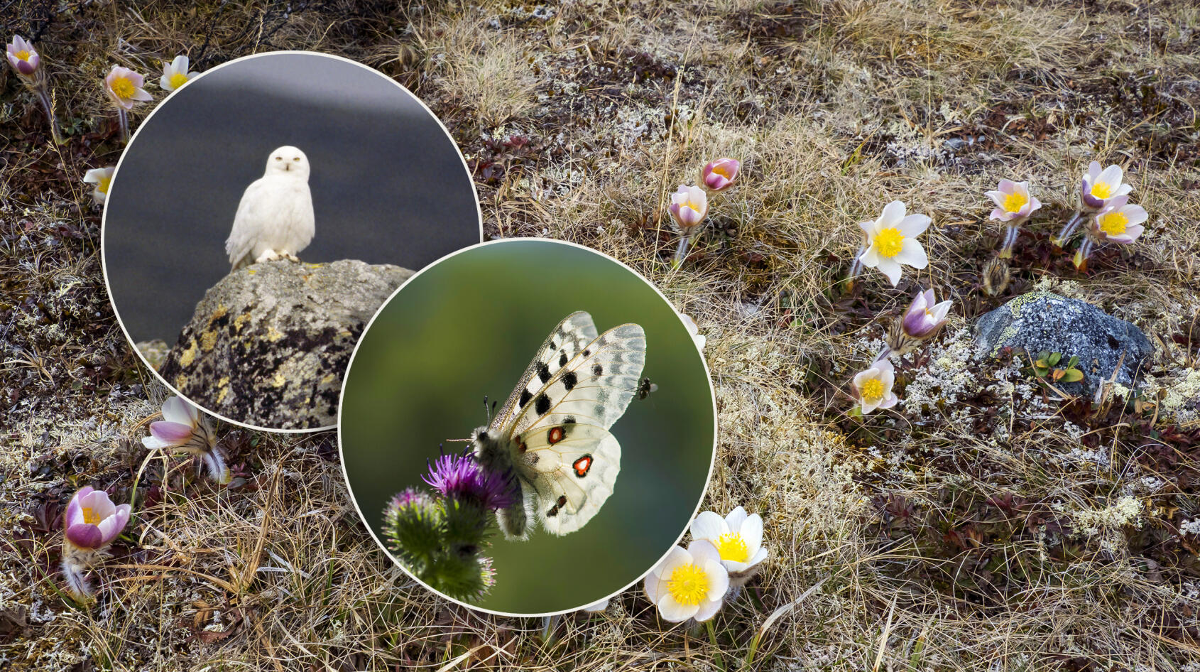 Vi måste vara rädda om naturens rikedom!