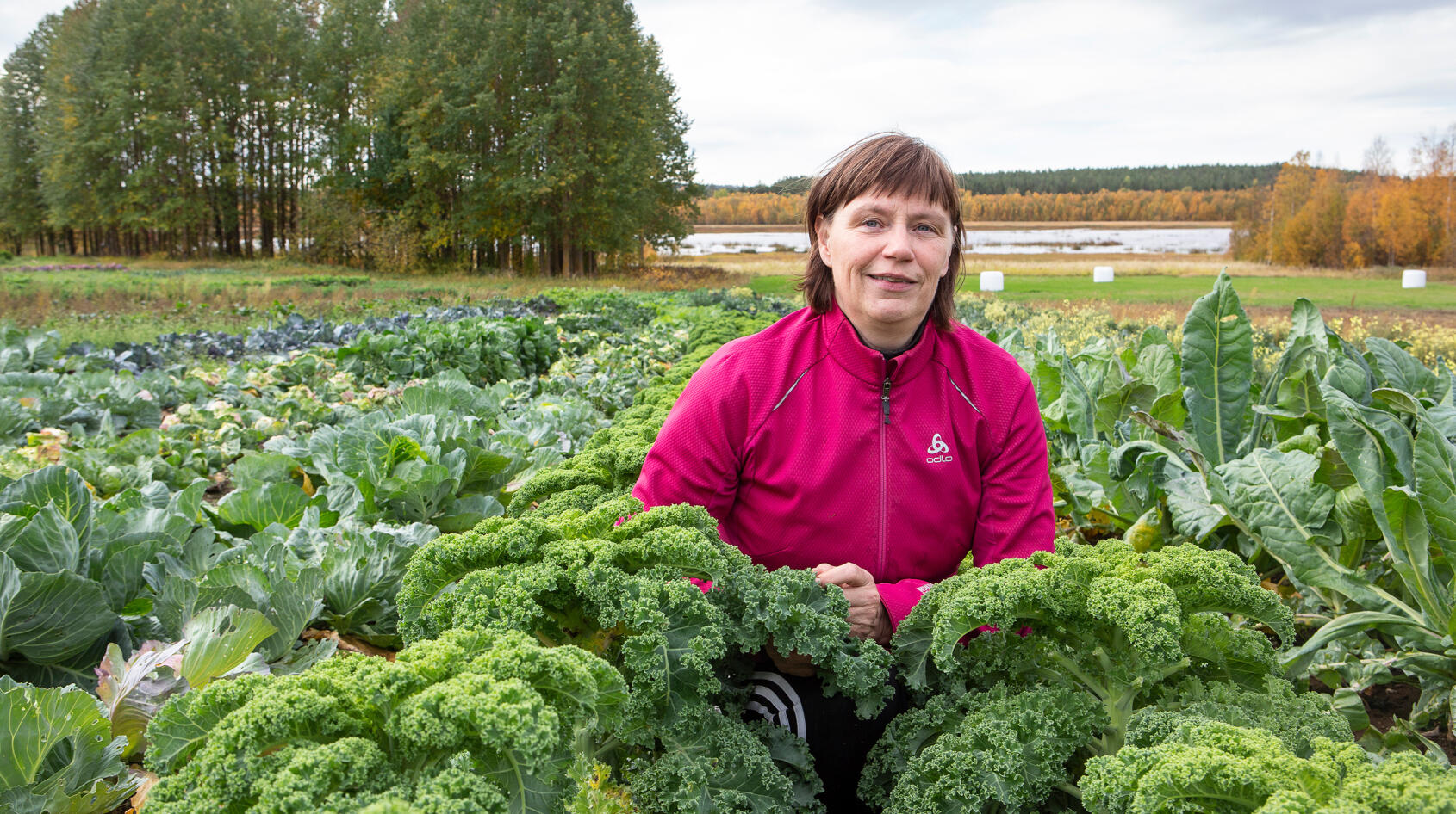 Det växer så det knakar under midnattssolen!