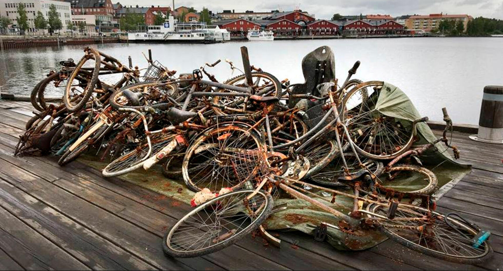 Här har många cyklar slängts i plurret