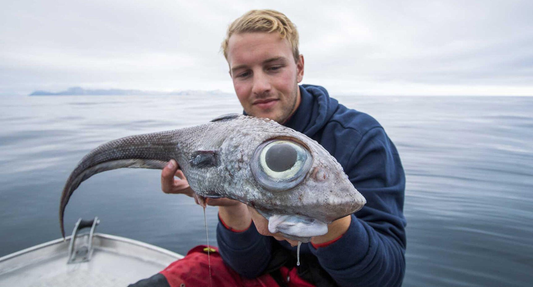 Alienfisken blev världsnyhet