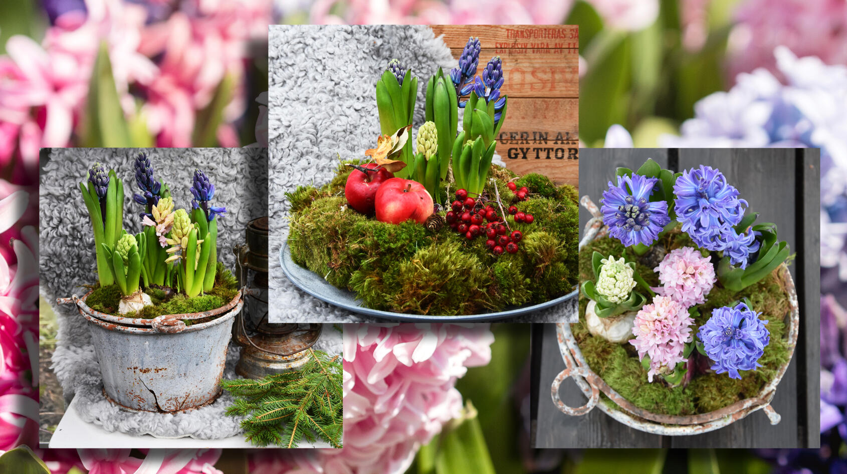 Krispiga knoppar & doftande blommor