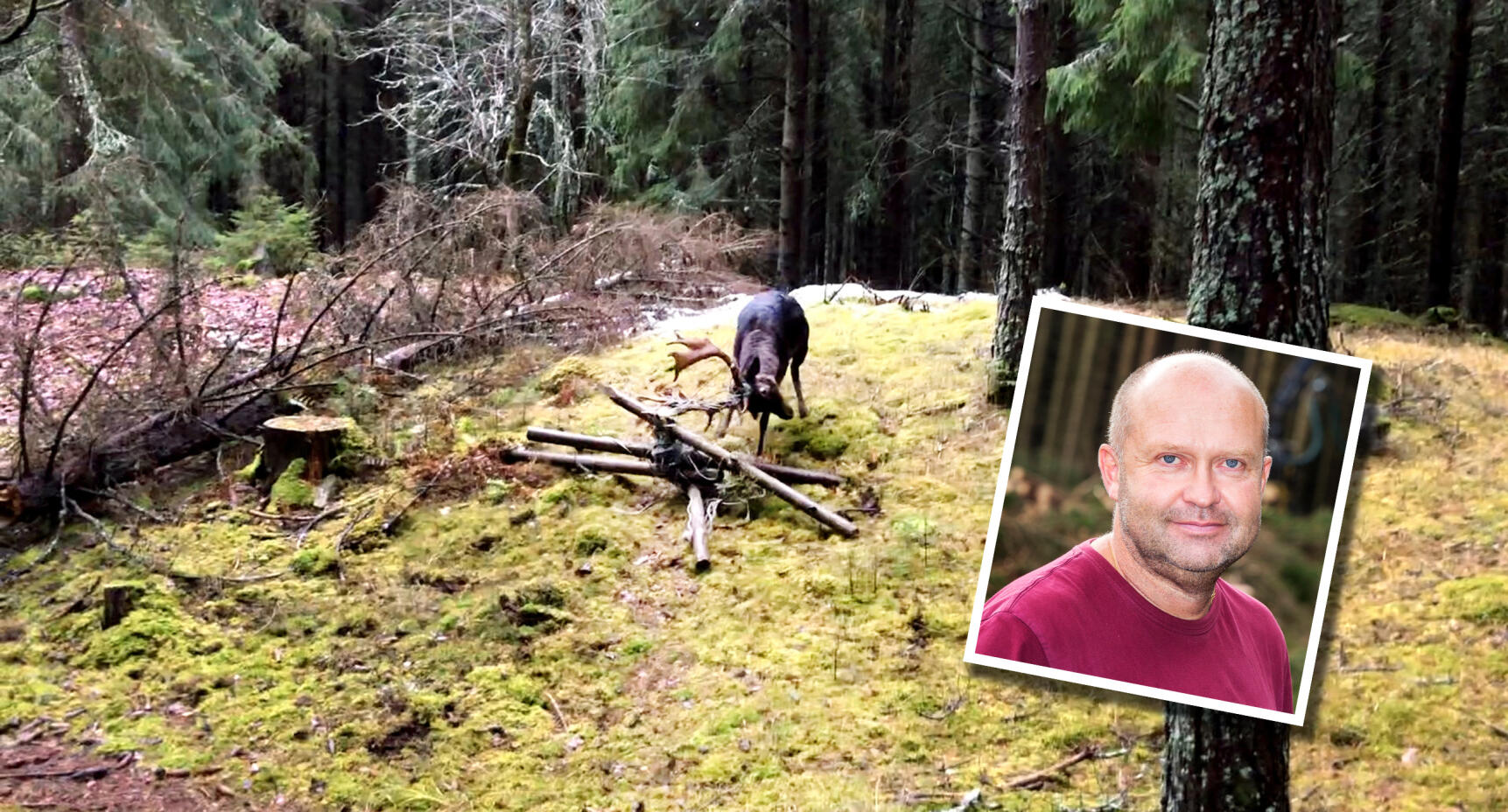 Jonas är mannen som kan tala med hjortar