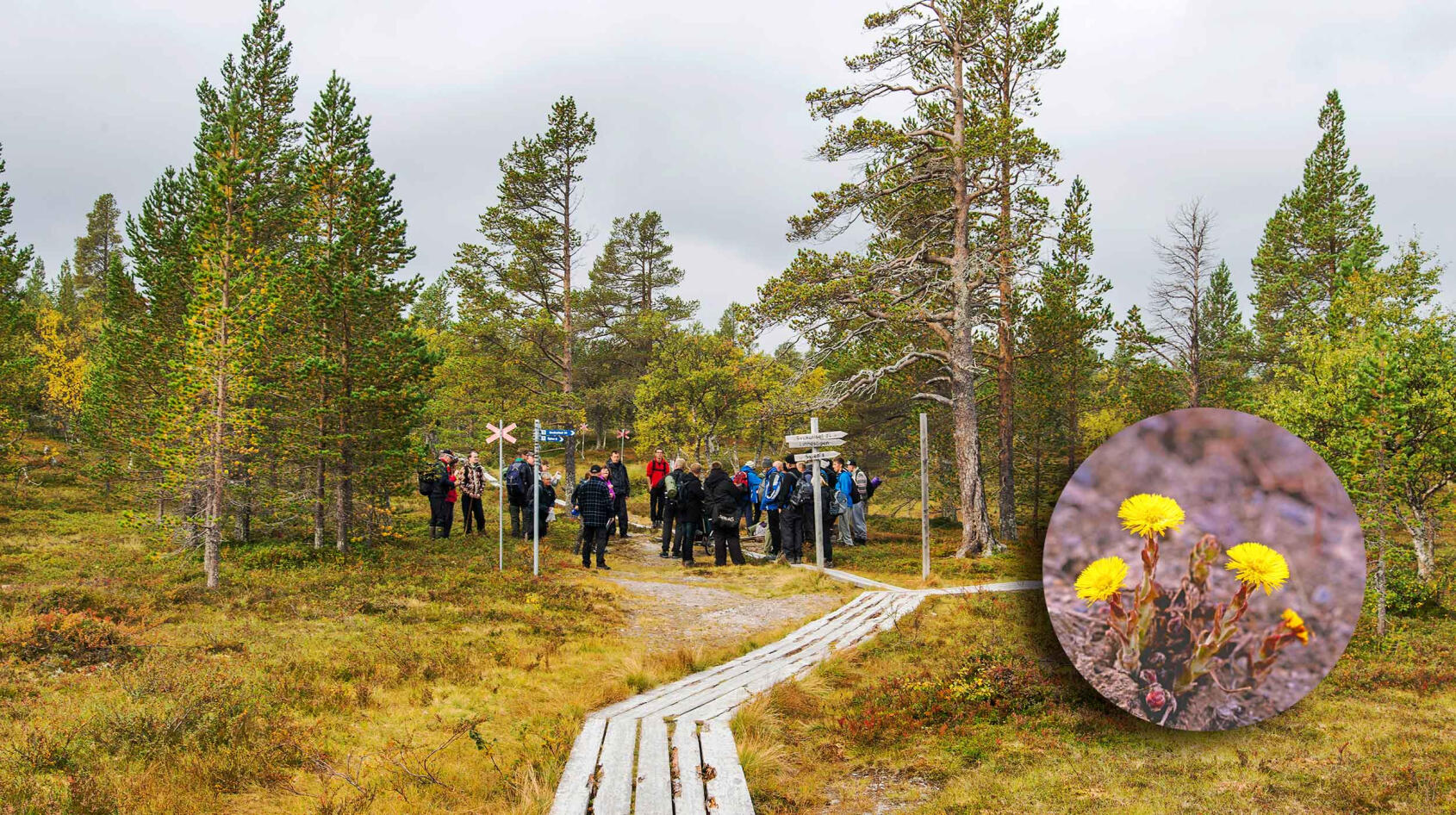 Ut i naturen  – för vänskaps skull!