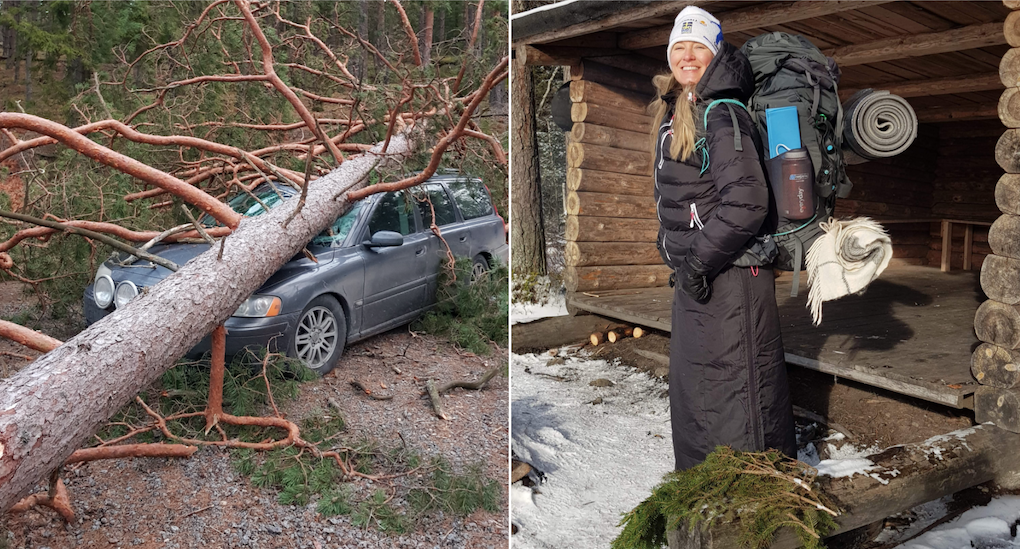 Therese såg trädet krossa hennes bil