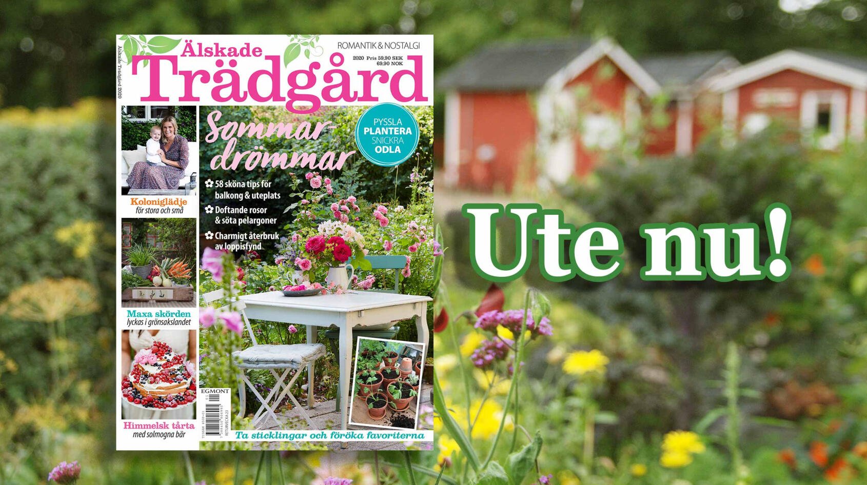 Tidningstips för den trädgårdsfrälste!