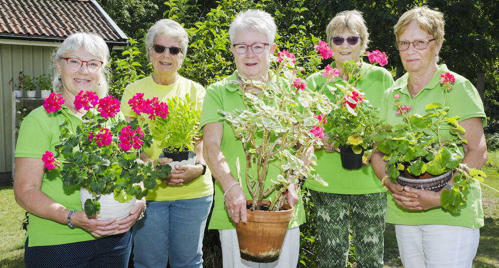 Varje sommar reser de till Europa i blommornas tecken. Ingrid Karsheimer, Britt-Marie Bergquist, Inger Håkansson, Kerstin Kreutz-Sabel och Rosie Raismaa. Foto: Kristina Wirén