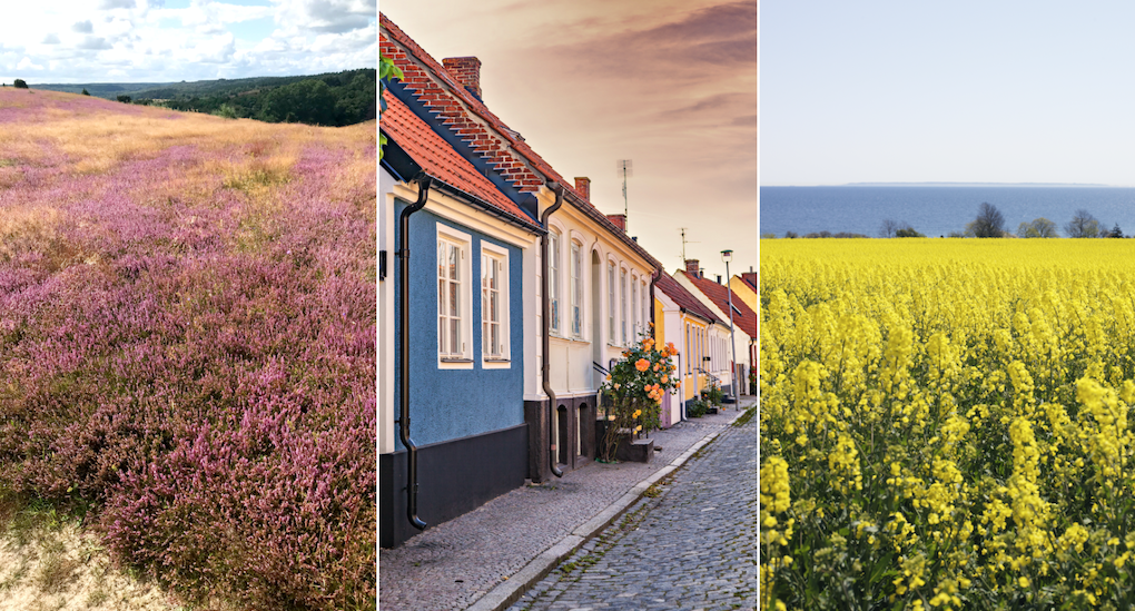 Upptäck Österlen i sommar – stor guide