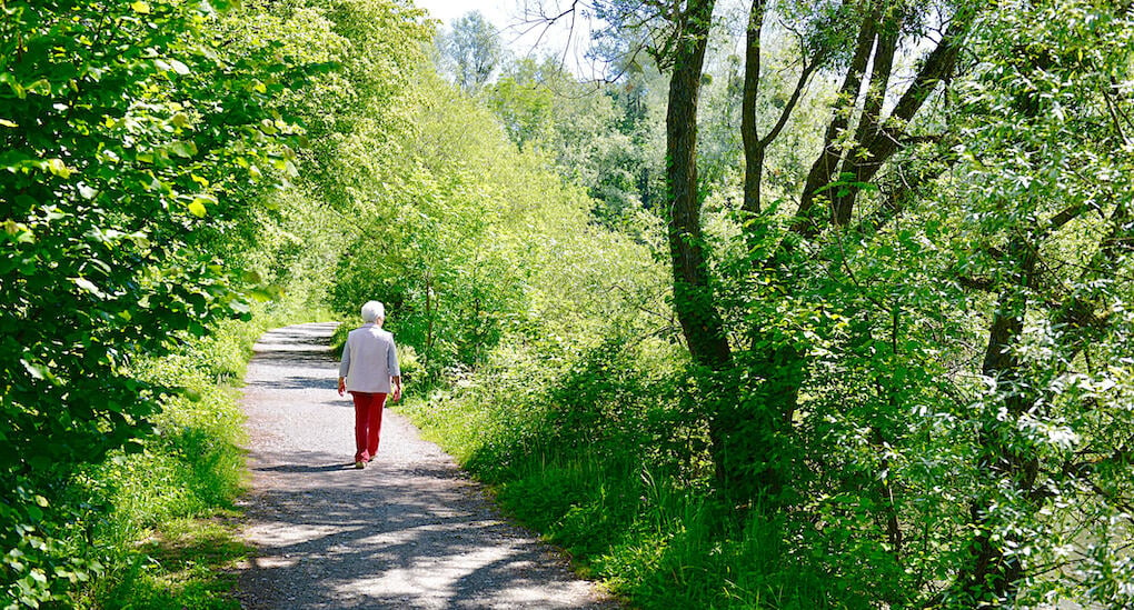 Promenera utomhus och dra fördel av alla positiva effekter naturen har på din hälsa. Foto: Getty Images