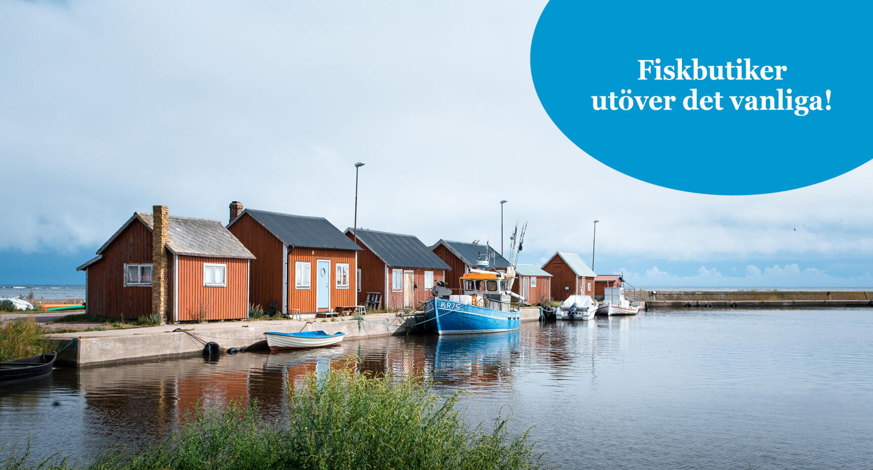 Stor guide: Fiskbutikerna med det lilla extra!
