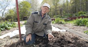 Börje använder en specialgjord hacka för att luckra jorden – och skona maskarna. Foto: TT