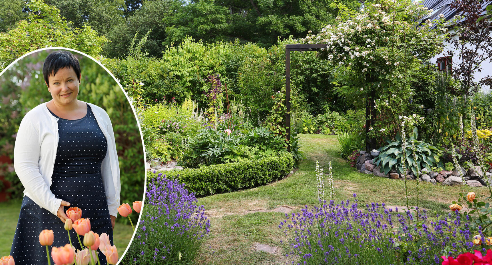 I Anna-Karins samlarträdgård ryms allt och lite till