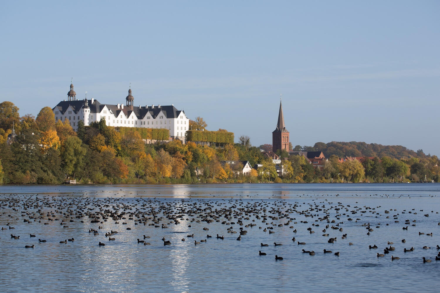Städer möter vacker natur i tyska Schleswig-Holstein
